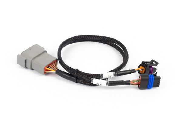 Haltech NEXUS Rebel LS Throttle & IAC Sub-Harness