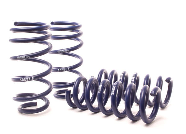 H&R 11-14 Dodge Charger RT AWD Max/Plus V8 Sport Springs