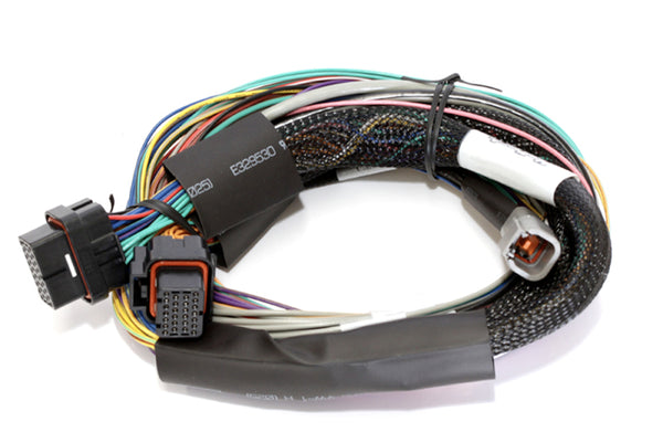 Haltech Elite 2500 Universal Wire-In Harness (2.5m) - No Relays or Fuses