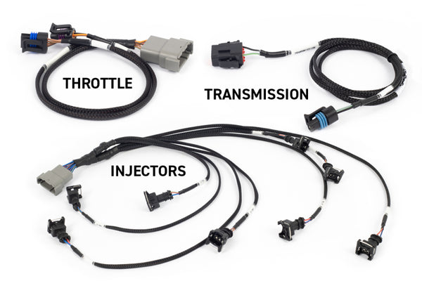 Haltech NEXUS Rebel LS Gen III Manual Transmission Throttle & EV1 Injectors