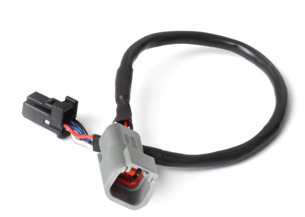 Haltech 3in CAN Adaptor Cable - DTM-4 Female Socket to 8 Pin Black Tyco