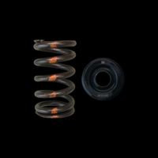 Brian Crower MZR Valve Spring & Steel Retainers