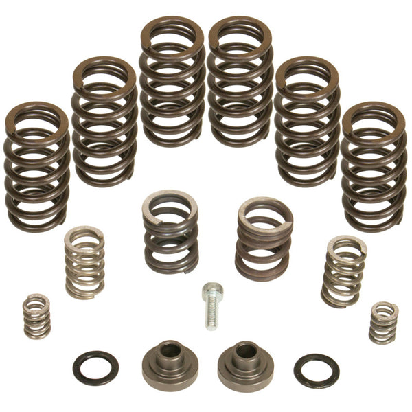 BD Diesel Governor Spring Kit 4000 RPM for 19941998 Dodge Cummins 12-Valve P7100