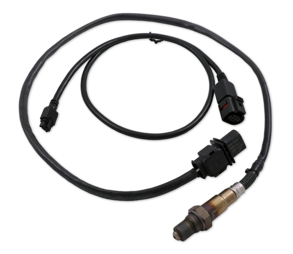 Innovate LSU4.9 O2 Sensor Upgrade Kit with 3ft Sensor Cable