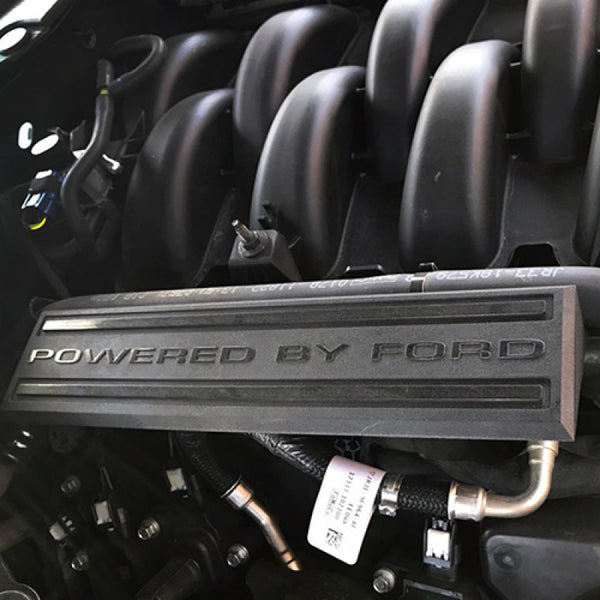 Ford Racing Intake Manifold Dress Up Kit for 2018-2019 Mustang GT/Bullitt