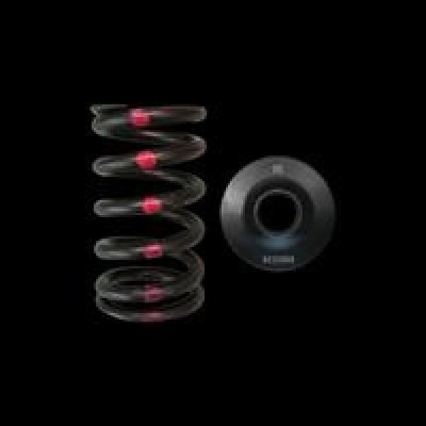 Brian Crower SR20DE/DET Single Spring & Steel Retainer Kit