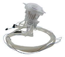 Load image into Gallery viewer, Photo - Primary