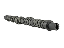 Load image into Gallery viewer, Skunk2 Tuner Series D-Series Honda Stage 2 Camshaft