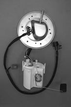 Load image into Gallery viewer, Photo - Primary