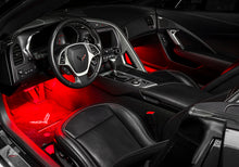 Load image into Gallery viewer, Photo - lifestyle view