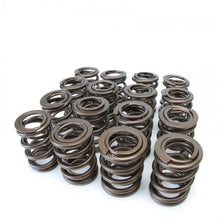 Load image into Gallery viewer, Skunk2 Tuner Series Honda/Acura (H22A/F20B) DOHC VTEC Alpha Valve Spring Set (Dual Springs)