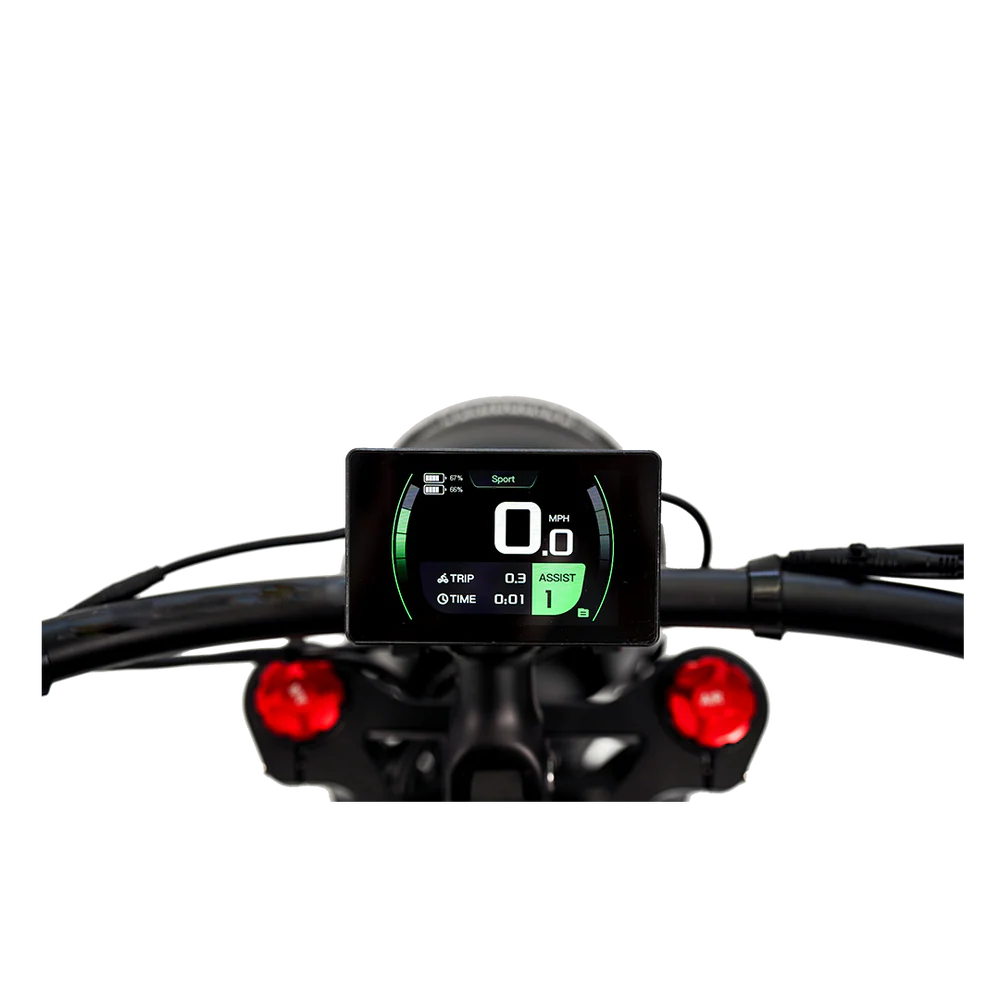 Cheetah Pro Aluminum Alloy E Bike Dual 30AH Lithium Batteries Retro Vintage Style Disc Brake Fat Tire Vintage Electric Bike