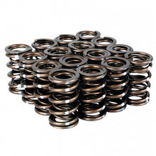 Load image into Gallery viewer, Skunk2 Pro Series Honda/Acura B-Series VTEC XP Valve Spring Set (Dual Springs)