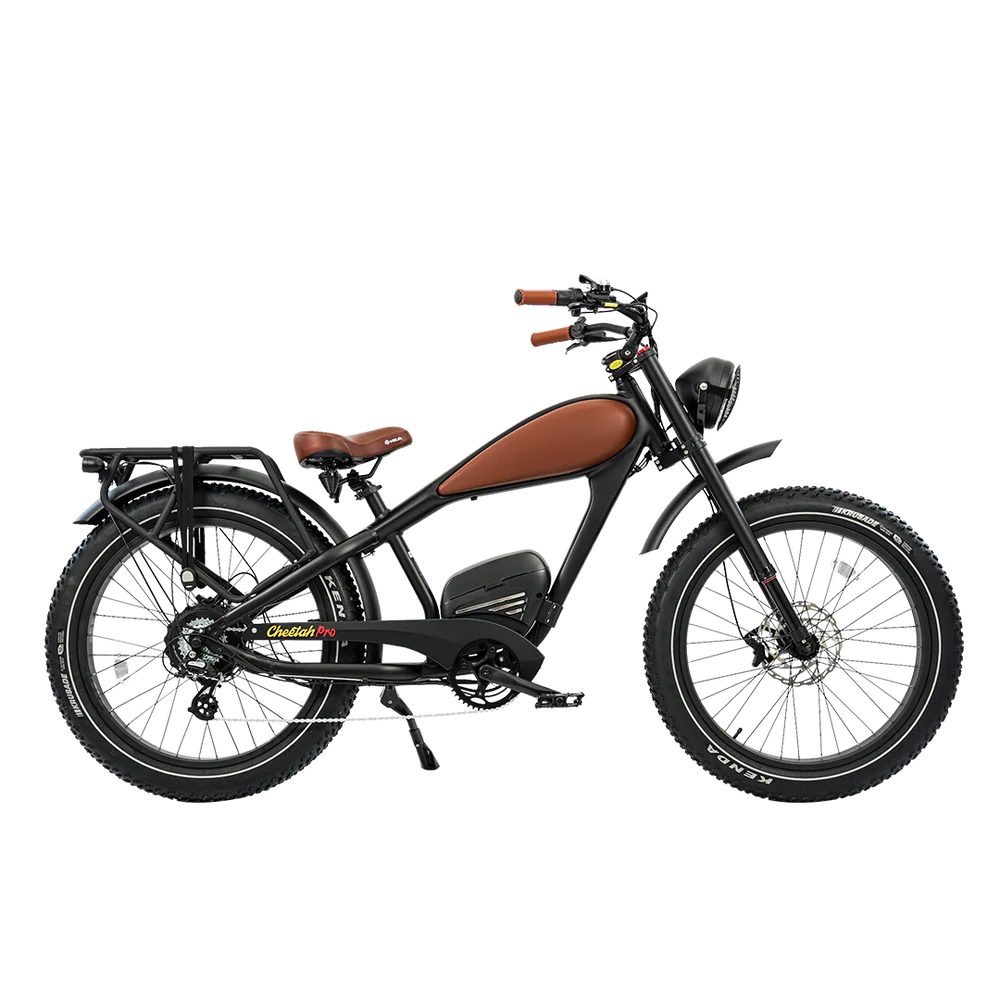 Cheetah Pro Aluminum Alloy E Bike Dual 30AH Lithium Batteries Retro Vintage Style Disc Brake Fat Tire Vintage Electric Bike