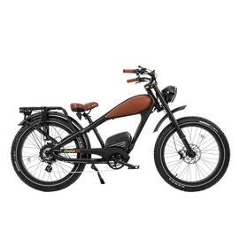 Cheetah Pro Aluminum Alloy E Bike Dual 30AH Lithium Batteries Retro Vintage Style Disc Brake Fat Tire Vintage Electric Bike