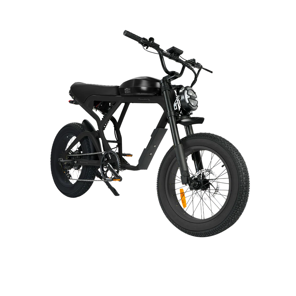 Cougar PRO Vintage Electric Ebike 750W with 60V 20AH 80 Miles Range Hydraulic Disc Brake Full Suspension