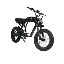 Load image into Gallery viewer, Cougar PRO Vintage Electric Ebike 750W with 60V 20AH 80 Miles Range Hydraulic Disc Brake Full Suspension