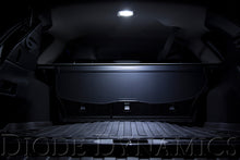 Load image into Gallery viewer, User 2