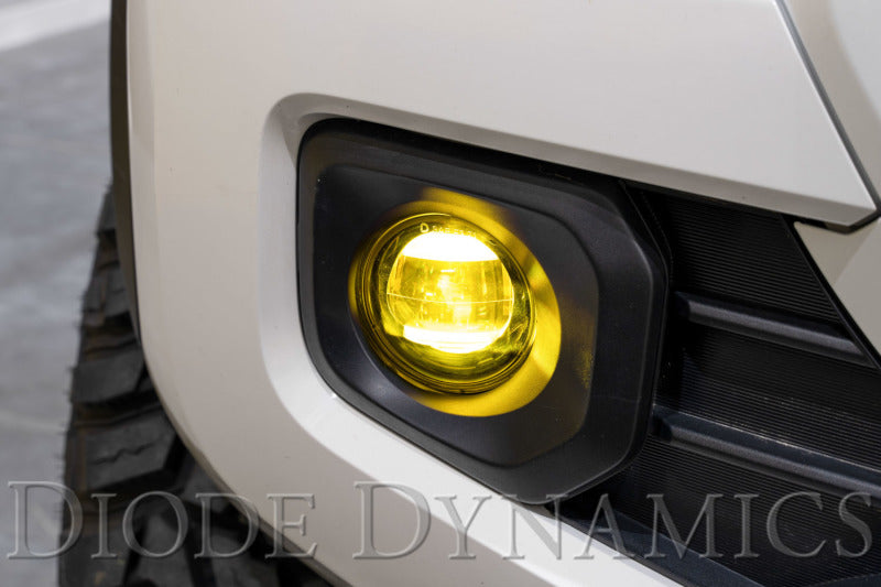 Diode Dynamics Elite Series Type B Fog Lamps - White (Pair)