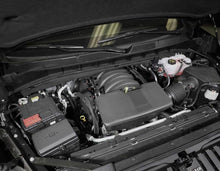 Load image into Gallery viewer, Photo - Mounted