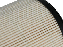 Load image into Gallery viewer, Photo - Close Up