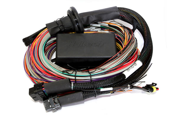 Haltech Elite 2500/2500 T Premium Wire-In Harness - 2.5m (8ft)