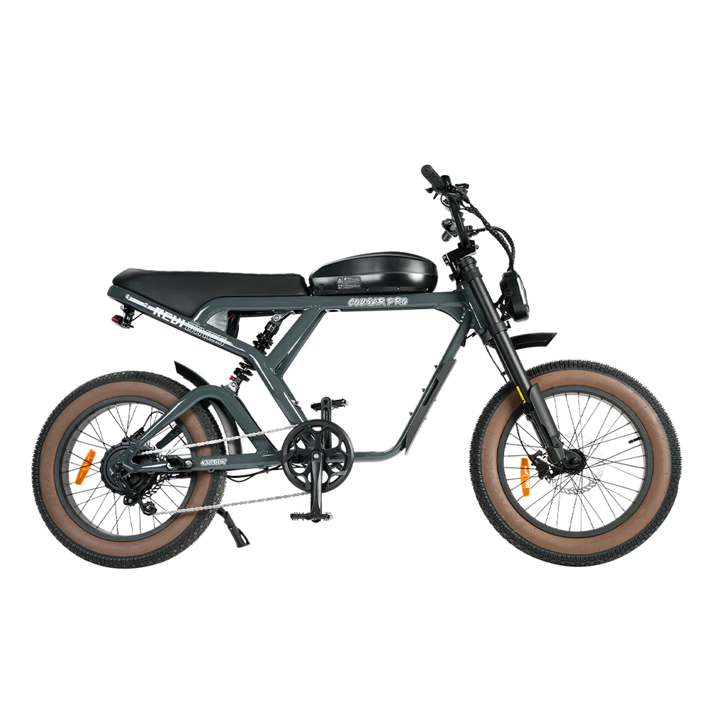Cougar PRO Vintage Electric Ebike 750W with 60V 20AH 80 Miles Range Hydraulic Disc Brake Full Suspension