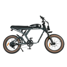 Load image into Gallery viewer, Cougar PRO Vintage Electric Ebike 750W with 60V 20AH 80 Miles Range Hydraulic Disc Brake Full Suspension