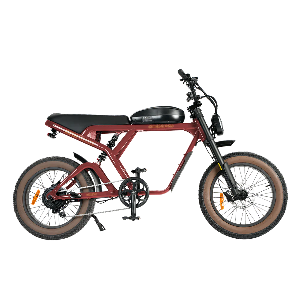 Cougar PRO Vintage Electric Ebike 750W with 60V 20AH 80 Miles Range Hydraulic Disc Brake Full Suspension