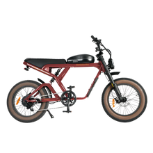 Load image into Gallery viewer, Cougar PRO Vintage Electric Ebike 750W with 60V 20AH 80 Miles Range Hydraulic Disc Brake Full Suspension