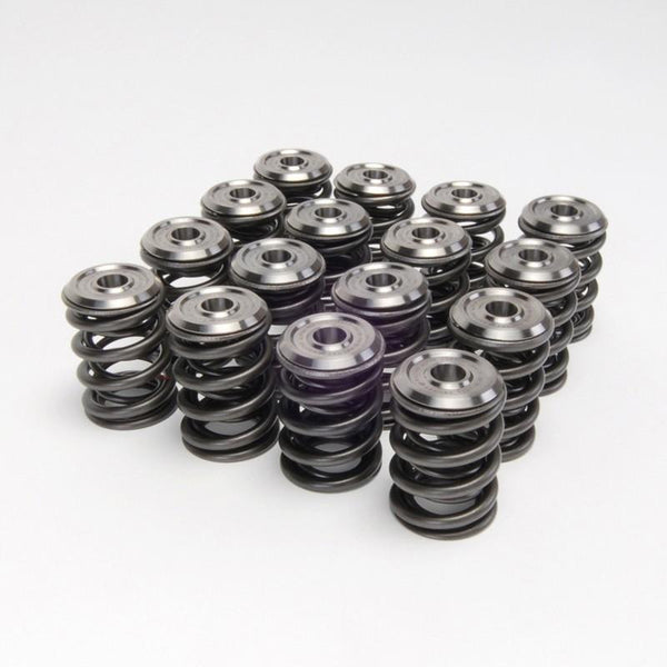 Skunk2 Alpha Series Honda/Acura D Series Valve Spring and Titanium Retainer Kit