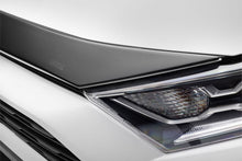 Load image into Gallery viewer, Photo - Close Up