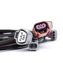 Load image into Gallery viewer, User 1