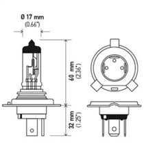 Load image into Gallery viewer, Hella Halogen H4 12V 60/55W Bulb