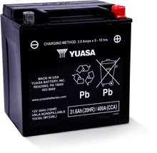 Load image into Gallery viewer, Yuasa YIX30L Maintenance Free AGM 12-Volt Battery