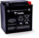 Yuasa YIX30L Maintenance Free AGM 12-Volt Battery