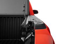 Load image into Gallery viewer, Photo - Close Up