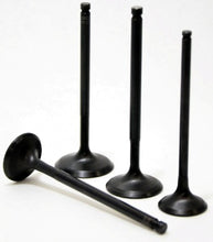 Load image into Gallery viewer, Photo - Primary