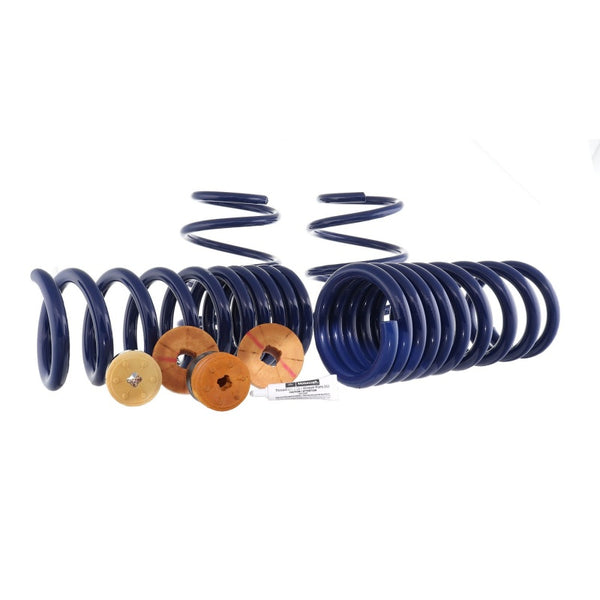 Ford Racing Mustang GT/EcoBoost Track Lowering Spring Kit (2015-2023, Excl MagneRide Susp)