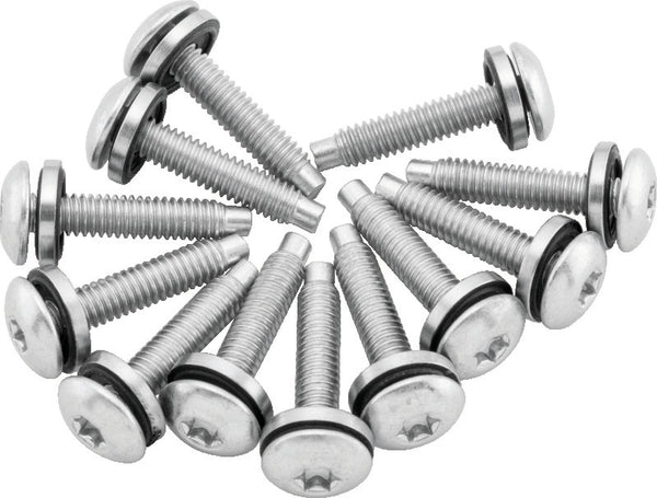 Twin Power 04-17 Dyna Models Fuel Pump Plate Screw Kit Replaces H-D 1311