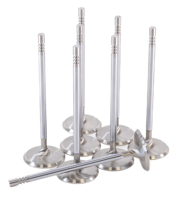GSC Power Division Chrome Polished Intake Valves for Ford Voodoo/Predator - Set of 8