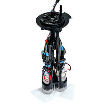 Load image into Gallery viewer, Photo - Primary