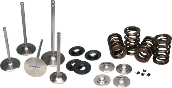 Ferrea Dual Spring Kit for Nissan GT-R VR38DETT