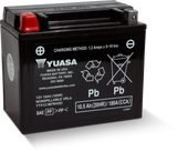 Yuasa YTX12 Maintenance Free AGM 12-Volt Battery