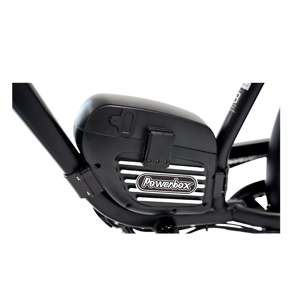 Cheetah Pro Aluminum Alloy E Bike Dual 30AH Lithium Batteries Retro Vintage Style Disc Brake Fat Tire Vintage Electric Bike