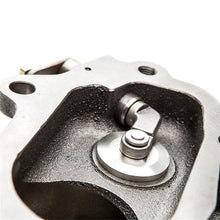 Load image into Gallery viewer, Photo - Primary