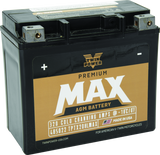 Twin Power GYZ-20HL Premium MAX Battery Replaces H-D 65989-97A Made in USA 320 CCA