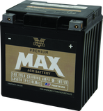 Twin Power GYZ-32HL Premium MAX Battery Replaces H-D 66010-97A Made in USA 500 CCA