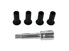 Load image into Gallery viewer, Photo - Primary