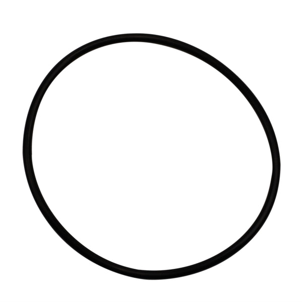 Wehrli S400 Compressor Outlet O-Ring Seal